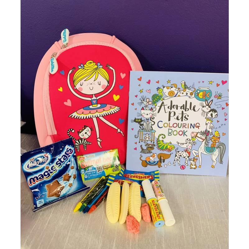 Ballerina And Adorable Pets Activity Set