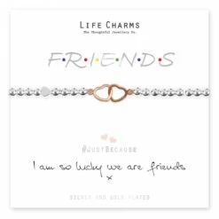 Friends Charm Bracelet Gift Set